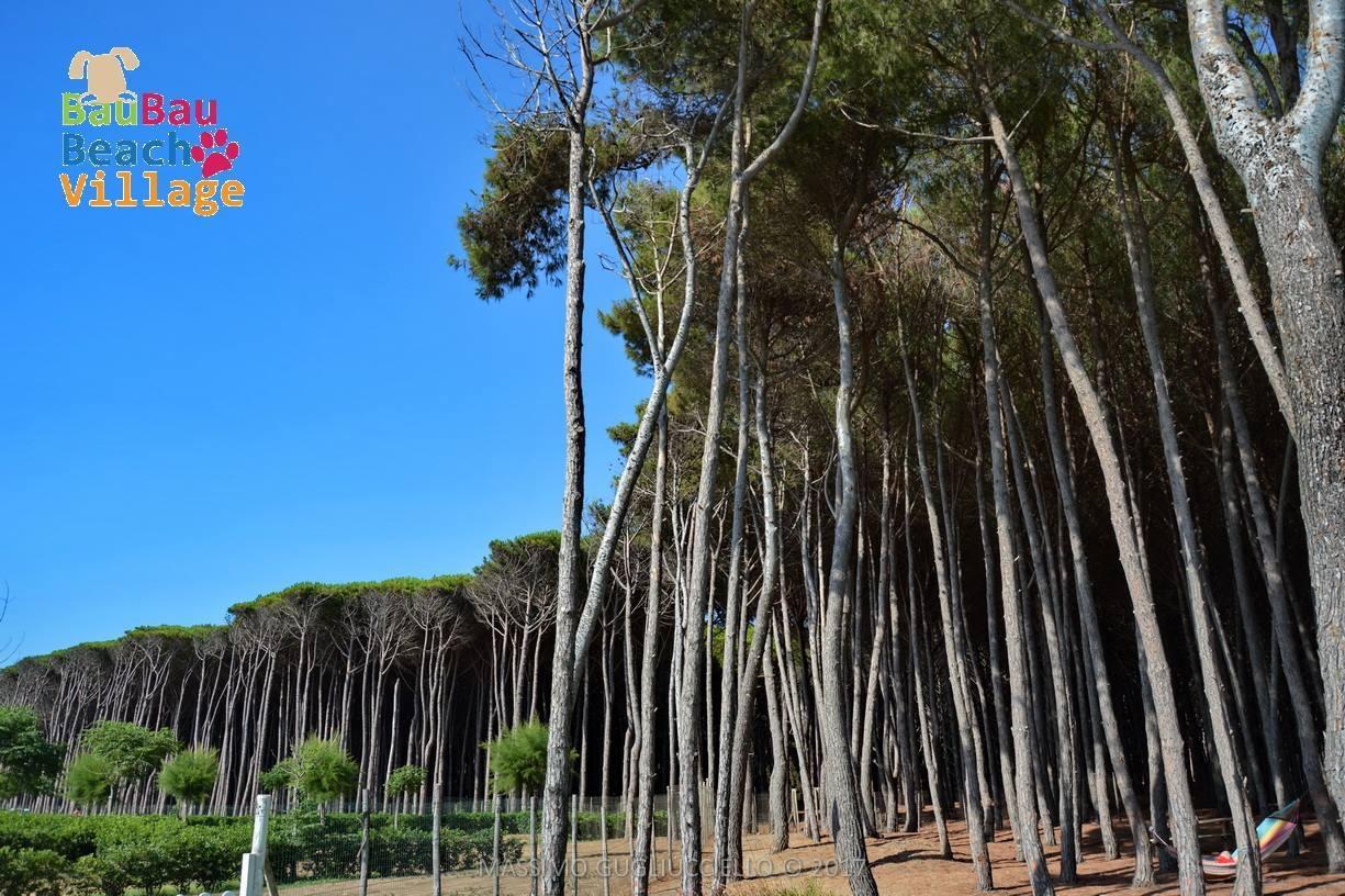 Bau Bau Beach Village Foce del Sele Exterior foto